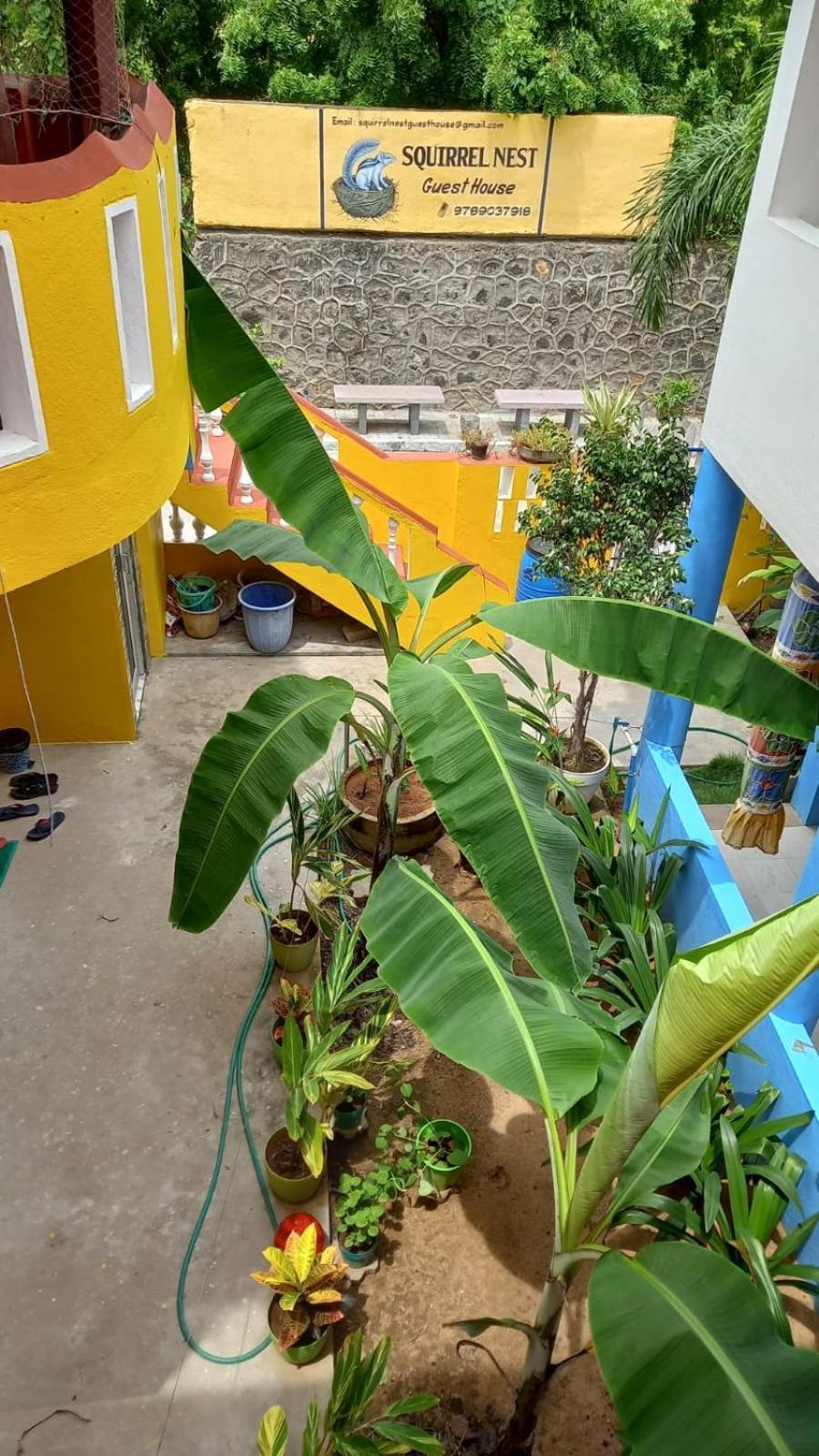 Squirrel Nest Guest House Mahabalipuram Exterior foto